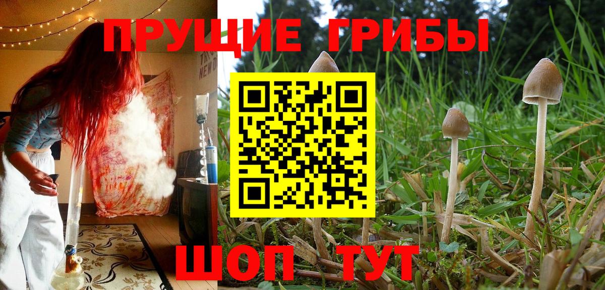 Псилоцибиновые грибы мицелий Челябинск