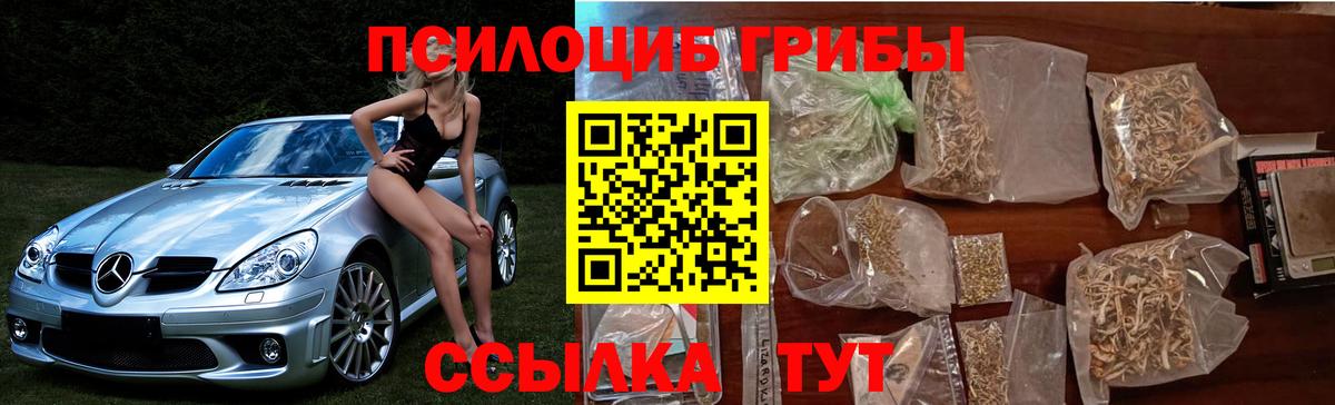 Псилоцибиновые грибы мицелий  Вход с VPN  Челябинск  Галлюциногенные грибы Psilocybe 
